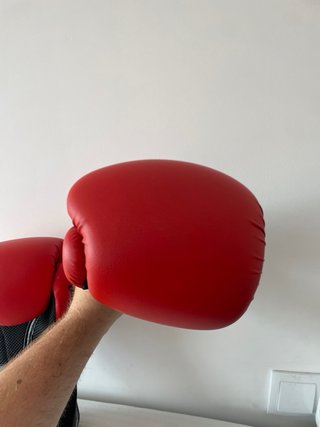 Guantes Boxeo Rojos - 14 Oz