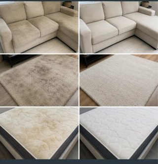 limpieza alfombras colchones sofás tapiceria