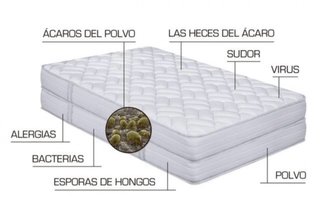 limpieza alfombras colchones sofás tapiceria