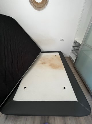 limpieza alfombras colchones sofás tapiceria