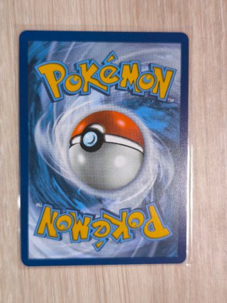 Carta Pokémon Partidario Aventura de Eco