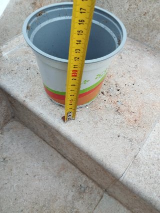 Confezione di vasi di plastica