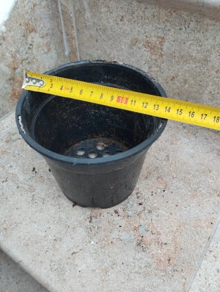 Confezione di vasi di plastica
