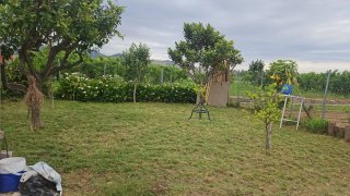 Huerto en alquiler