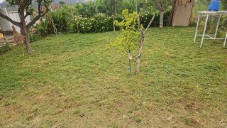 Huerto en alquiler