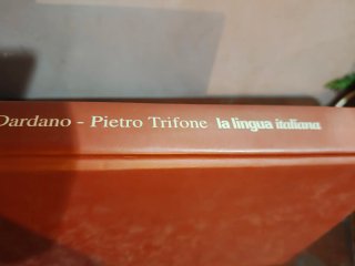 La lingua italiana