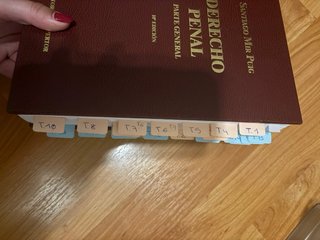 Manual de derecho penal, parte general.