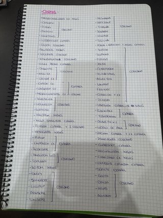 Lote Cartas Pokémon Variadas
