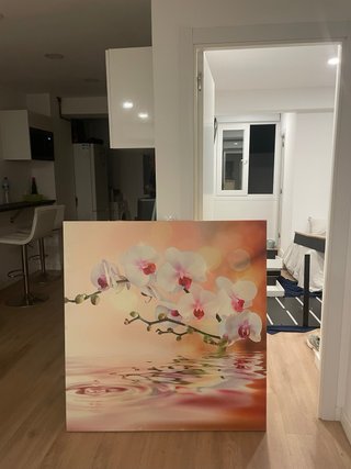 Cuadro Orquídeas Lienzo