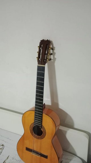 Guitarra Conde con funda..
