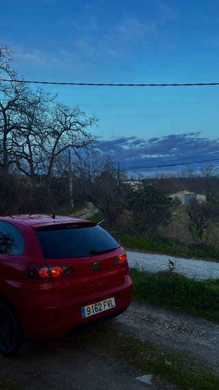 SEAT Ibiza 2007 1.9tdi
