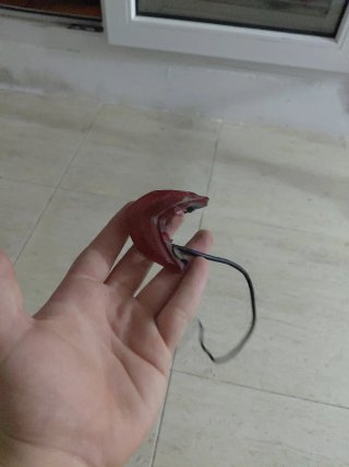 Luz trasera patinete eléctrico