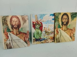 Biblia juvenil