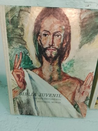 Biblia juvenil