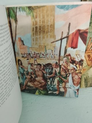 Biblia juvenil