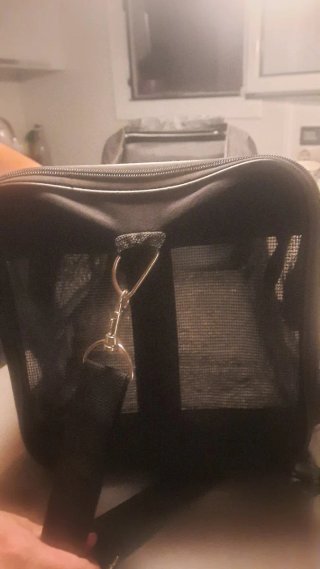 Transportín Nobby para gato o perro pequeño