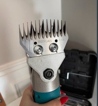 Tosapecora/capre a batteria 68 V