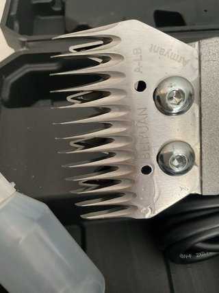 Tosatrice Elettrica Pecore 1200 Wprofessionale