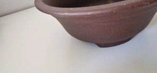 Maceta de terracota para bonsái