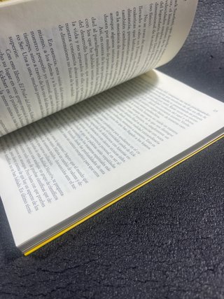 El poder del ahora una guía para la iluminación...