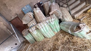 Protectores para viñedo 40cm