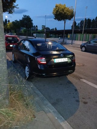 Skoda Rapid 2014
