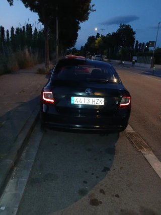 Skoda Rapid 2014