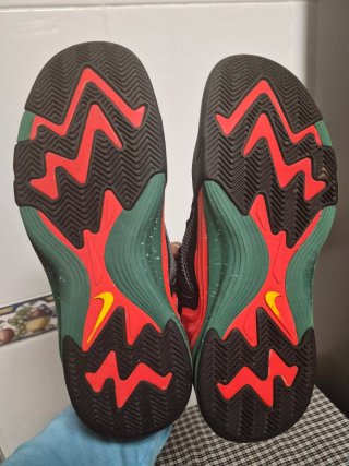 ZAPATILLAS NIKE AIR LUNAR RAID