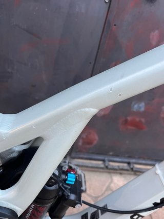 Commencal Supreme DH V5