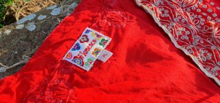 Blusa Flamenco Roja Bordada Dorada