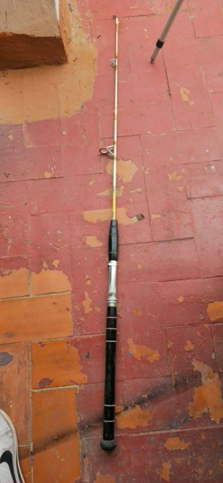 Conjunto cañas de pescar