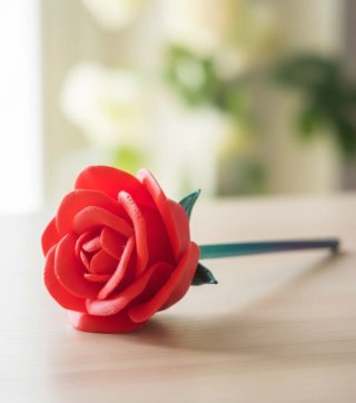 Rose 3D
