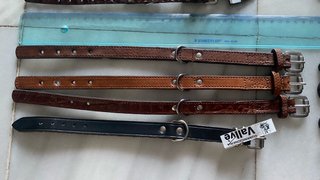 Collares Nuevo Crea tu Lote  para perros