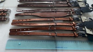 Collares Nuevo Crea tu Lote  para perros
