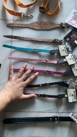 Collares Nuevo Crea tu Lote  para perros
