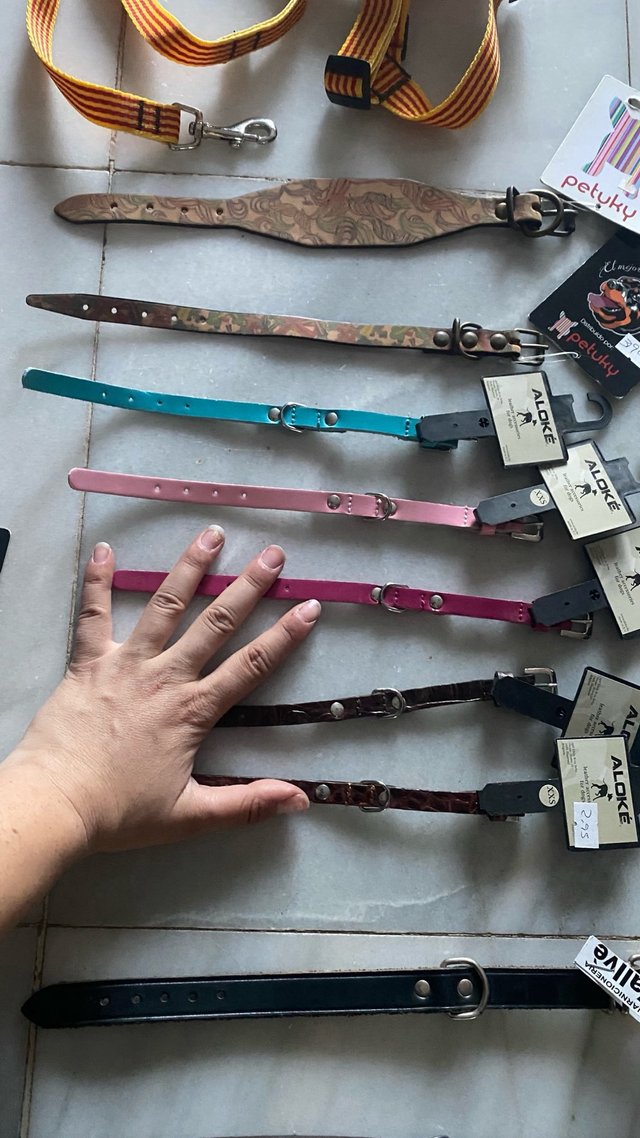 Collares Nuevo Crea tu Lote  para perros