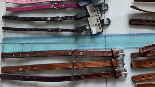 Collares Nuevo Crea tu Lote  para perros