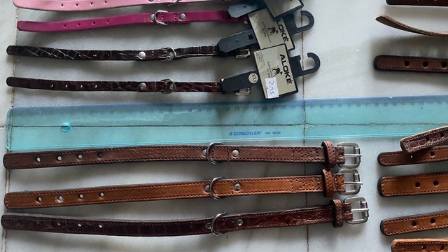 Collares Nuevo Crea tu Lote  para perros