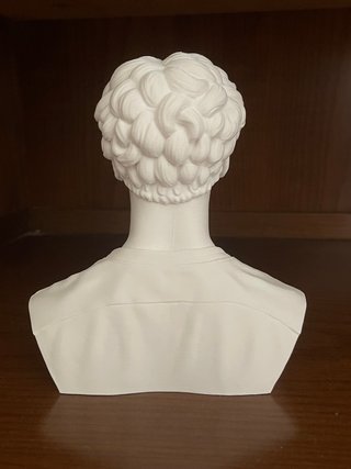 Jannik Sinner - Figure - Busto 3D - Tennis Edition