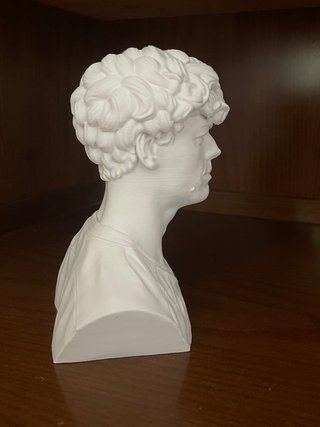 Jannik Sinner - Figure - Busto 3D - Tennis Edition