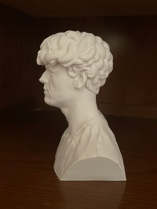 Jannik Sinner - Figure - Busto 3D - Tennis Edition