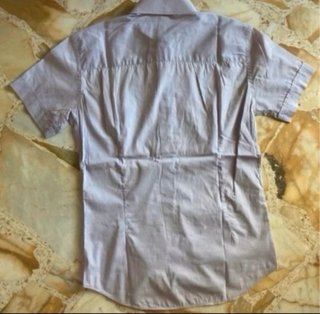 Camicia Sartoria Frangipani Tg. M