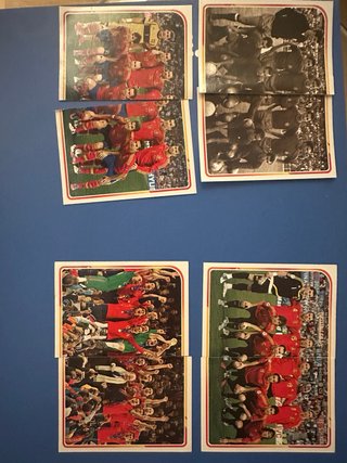 Cromos Panini El album de la Seleccion 2021