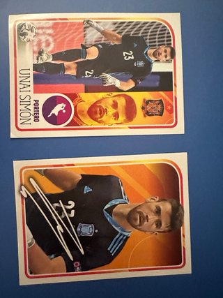 Cromos Panini El album de la Seleccion 2021