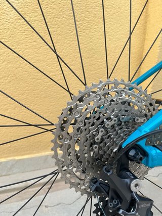 Scott Scale 980 (29" - Monoplato 12v)