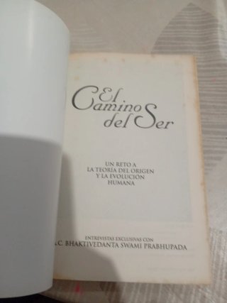 El Camino del Ser