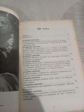 El Camino del Ser