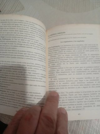 El Camino del Ser