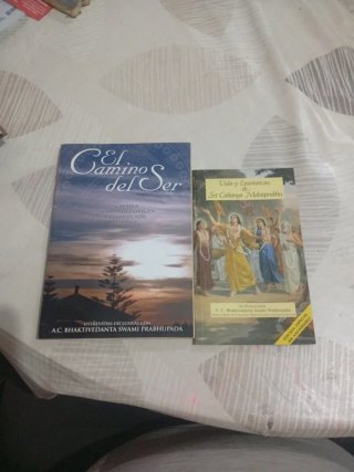 El Camino del Ser