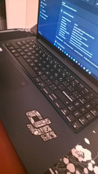 Asus Vivobook Negro